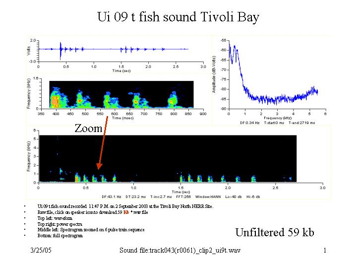 Unknown fish sound